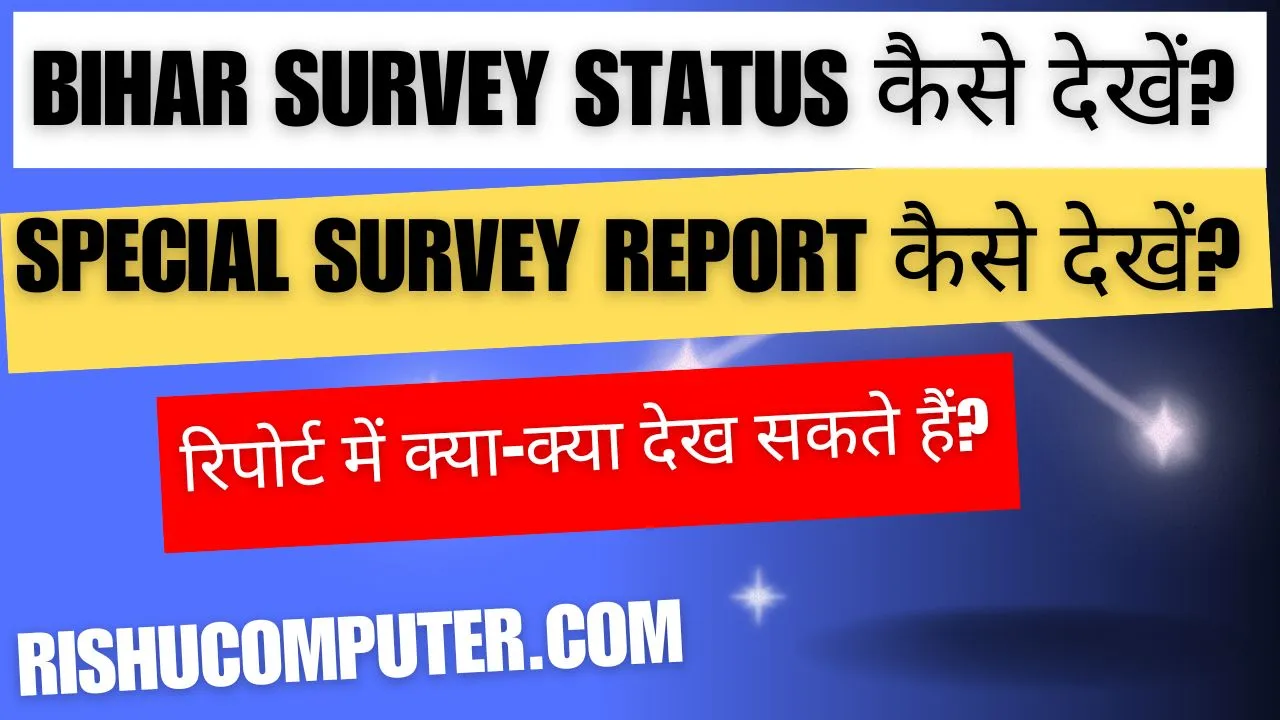 Bihar Survey Status, Special Survey Report